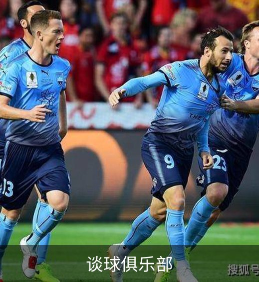 谈球俱乐部概况